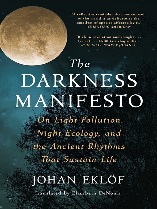 Cover image for The Darkness Manifesto
